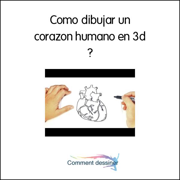 Como dibujar un corazon humano en 3d